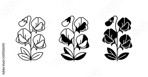 Φωτογραφία Elegant Sweet Pea Flower Vector Icons, Botanical Illustration Set, Black and Whi