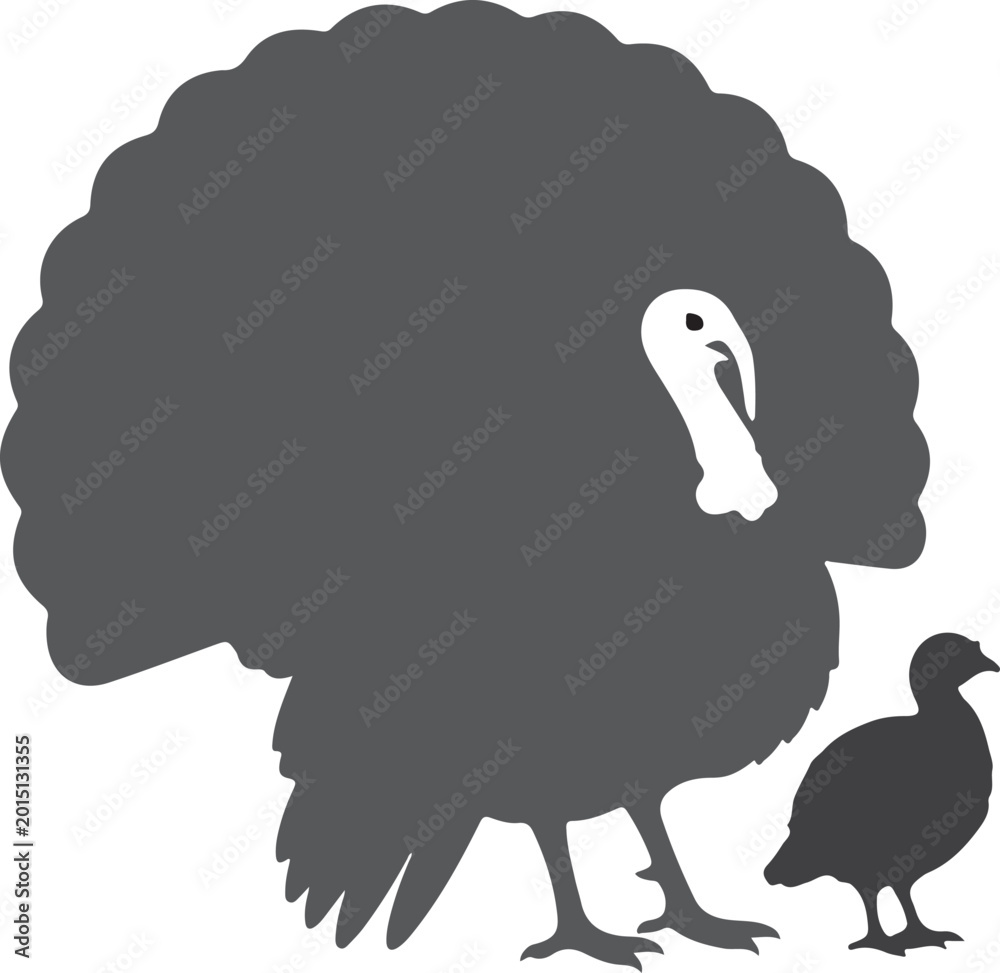 Ταπετσαρία Turkey poult in art.