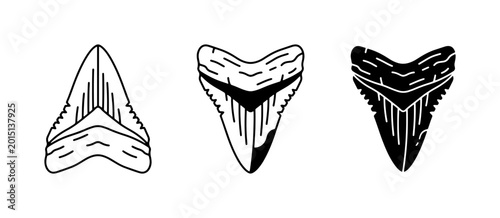 Shark Teeth Vector Icons, Fossilized Teeth, Predatory Animal Symbols, Marine Life Graphics
