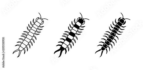 Foto Centipede Vector Icons: Black and White, Outline, and Silhouette Styles