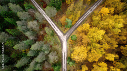 pivotal. Aerial view of a forked path in an autumn forest, representing pivotal life choices. representing seasonal cycles and harvest abundance.
