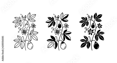 Foto Botanical Passion Flower Vector Art, Delicate Vine Illustrations, Organic Plant