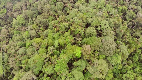 Aerial view over the canopy of pristine rainforest on a hilltop. One of the last remnants of lowland rainforest in western Ecuador situated near Puerto Quito, Pichincha province