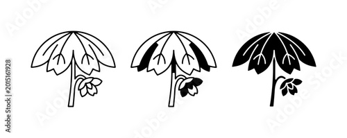 Bild auf Leinwand Japanese Mon Crests, Floral Emblems, Vector Icons Set