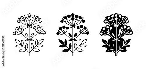 Canvas-taulu Botanical Vector Icons: Delicate Dill Flower Designs, Outline and Silhouette Sty