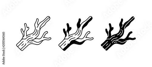 Fotografía Branch Vector Icons, Natural Wood Elements, Organic Shapes, Tree Twig Graphics