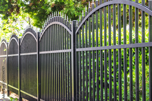Iron Fence
