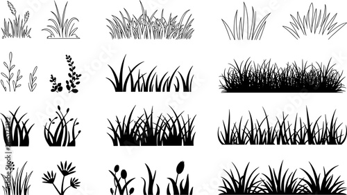 Fotografie Black Grass and Wild Plant Silhouette Collection with Ground Cover Weed Bush and