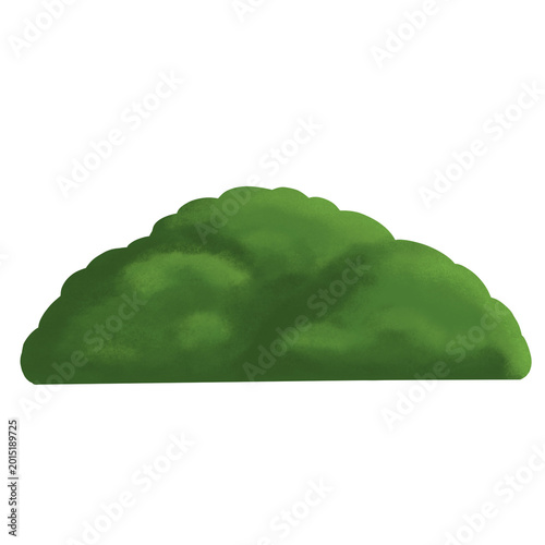 Green bushes without line