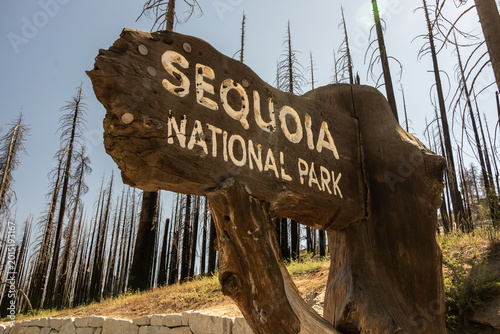 Looking Up At Sequoia National Park Sign With Burned Trees In The Background