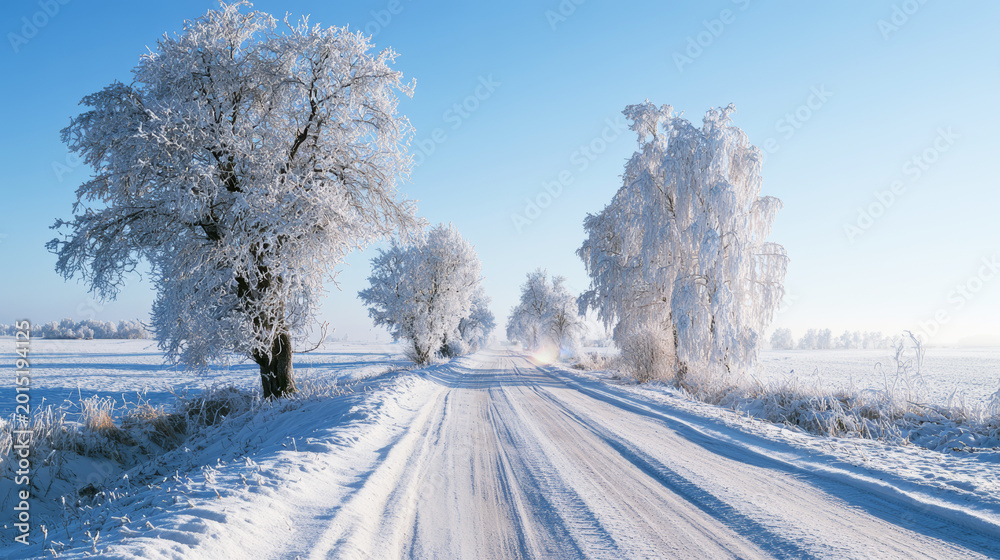 Fototapeta premium Snow covered rural road winding through frosted trees under clear blue winter sky, soft light illuminating path ahead