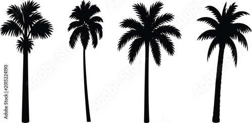 Canvas-taulu Four distinct black silhouettes of palm trees with full fronds on a white backgr