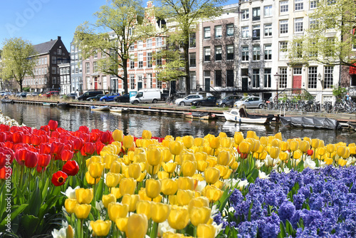 Canvas Print A city street in the spring, Amsterdam, Netherlands