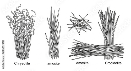 Billede på lærred Detailed Illustration of Three Different Types of Grasses.