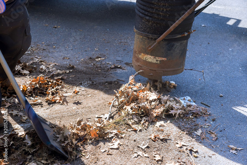 Картината върху платно Workers collect leaves with vacuum machine at park in autumn, cleaning area to m