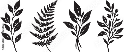 Botanical silhouettes: fern and leafy branches with white background line art botanical silhouette illustration minimalist vegetation greenery decorative