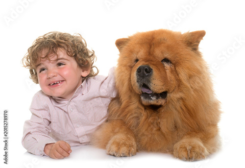 Foto chow chow and boy