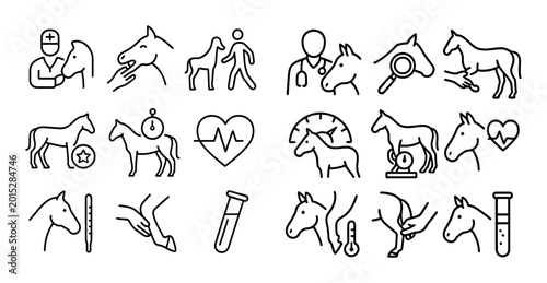 Horse care and veterinary icons showing treatments and tests