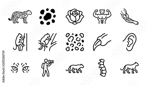 Photography Animal Icons Set: Wildlife, Nature, Anatomy, Fitness, Human Elements Vector Coll