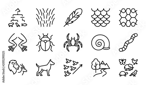 Slika na platnu Evolutionary Biology Icons, Nature & Animal Life Cycle Vector Set, Science & Bio