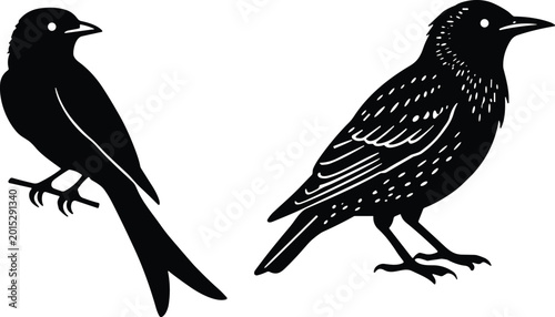 Photos Bird silhouettes illustration showing perched long-tailed species and ground-sta