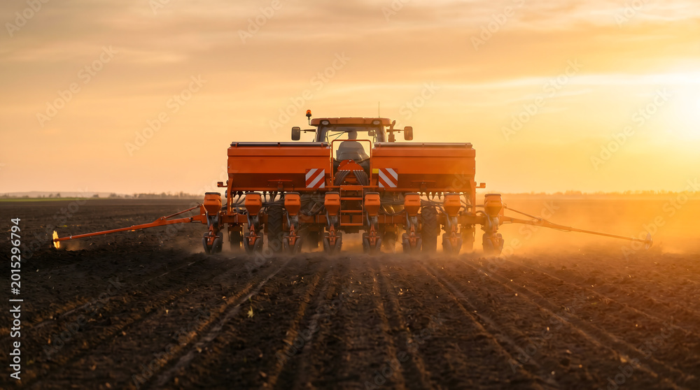 Fototapeta premium Tractor with precision seeder planting crops across open field at golden hour