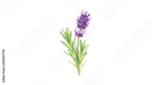 Cuadro en lienzo Purple Thistle Vector Cute Icon Embroidery Design Sewing Cross-stitch Craft Need
