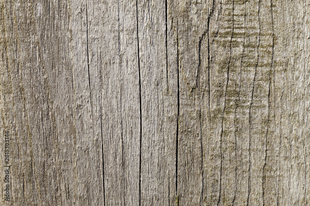Fototapeta premium Close-up of weathered wooden surface displaying natural grain patterns and textures, highlighting the rustic charm of aged timber in a neutral color palette