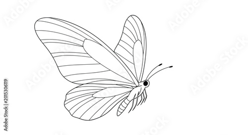 Elegant black and white line drawing of a butterfly in flight with detailed wing patterns and long antennae on a clean background.