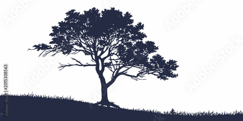 Fotografija Silhouette of a windswept tree on a grassy hill against a white background with