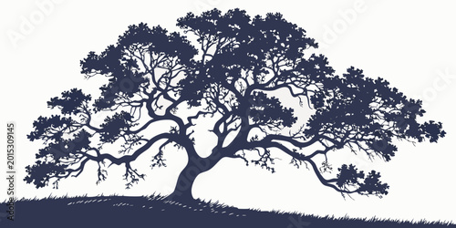 Canvas Print Sprawling deciduous tree silhouette with wide canopy and numerous branches on gr