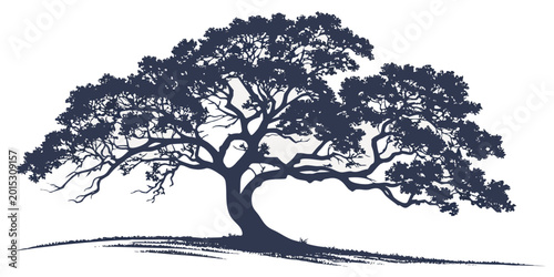 Φωτογραφία Silhouette of a broad canopy oak tree with intricate branches on a gentle grassy