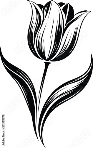 Black and white tulip illustration with striped petals on white background