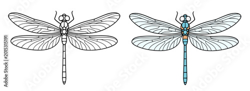 Foto Dragonfly icon illustration in line art and colored design, for coloring page