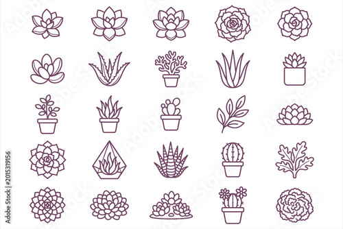 Konstfotografi Collection of sixteen diverse succulent and cactus plant line art illustrations