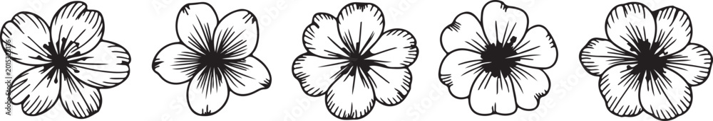 Obraz premium flower vector line art petal botanical motif collection