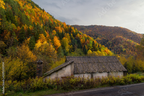 Bild auf Leinwand Bosque de la Pardina del Señor, Parque Nacional de Ordesa, Pirineo Aragonés,Hues