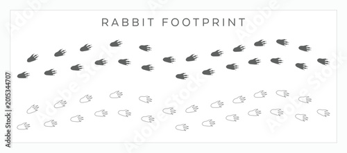 Rabbit and Bunny Footprint Vector Set – Animal Paw Print Tracks and Silhouette Outlines