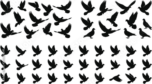 Photos Flying bird silhouettes set with pigeons and doves in various poses isolated for
