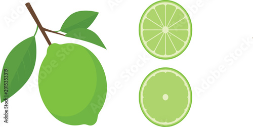 Canvas Print Fresh Lime Illustration Set Featuring Whole Lime with Slices for Food and Bevera