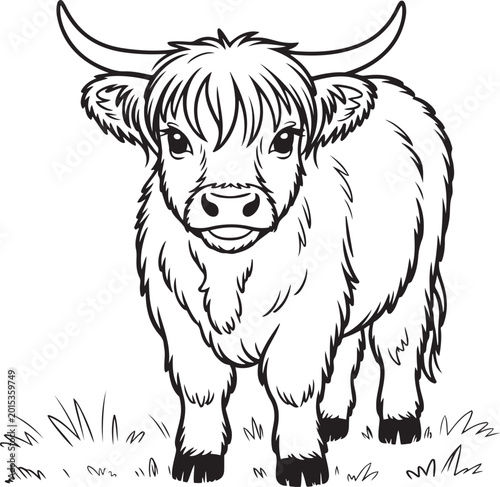 Smiling highland cow standing in grassy field