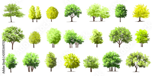 Vertor set of green tree,plants side view for landscape elevations,element for backdrop,eco environment concept design,watercolor greenery scene