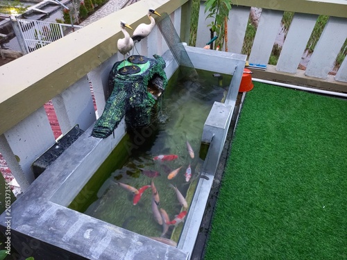 Fotografía Modern koi fish pond with colorful ornamental fish, decorative fountain, and artificial grass in outdoor home garden creating a peaceful and relaxing atmosphere