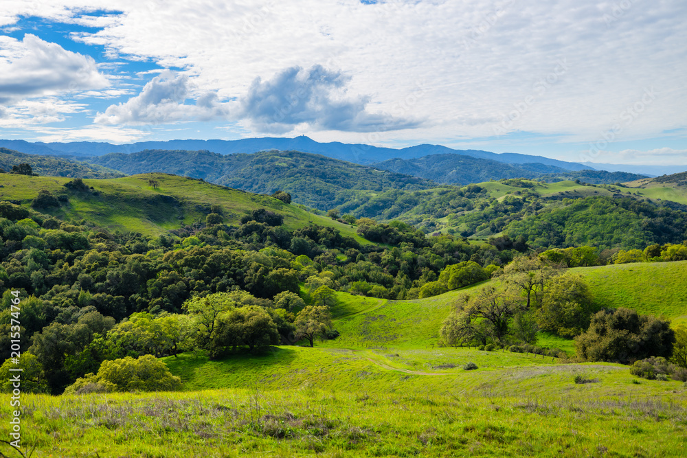 Obraz premium Lush green rolling hills and oak woodland under dramatic clouds in California, scenic spring landscape near San Jose, Bay Area, peaceful nature panorama with layered mountains