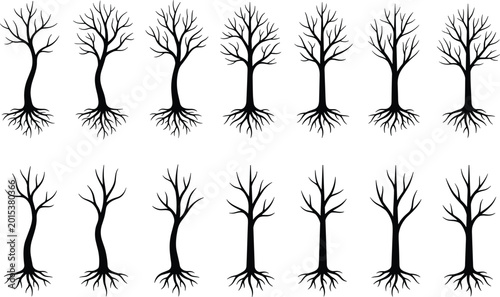 Konstfotografi Bare tree roots branches silhouette forest nature growth decay plant icon set li