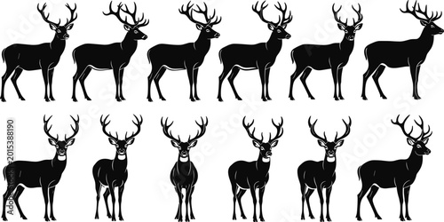 Black Silhouettes of Deer and Stags with Antlers, Wild Buck Poses in Different Angles, Forest Wildlife Isolated on White Background