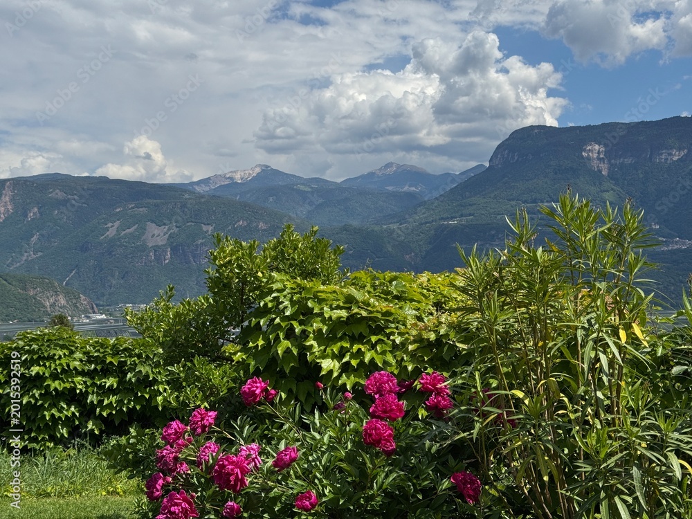Fototapeta premium Schöne Landschaft bei Tramin in Südtirol 