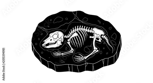 Photos Dinosaur skeleton fossil embedded in dark rock, ancient prehistoric discovery, black and white illustration