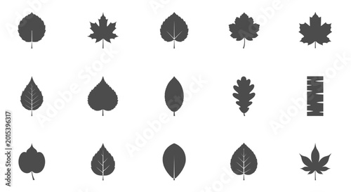 Collection of various leaf shapes and types.