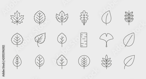 Collection of various leaf line icons.